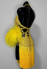 Elems Yellow Latin Dress