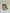 Tan Mesh Ballroom Shoes
