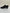 Black Mesh Ballroom Shoes