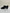 Leather Ballroom Shoes
