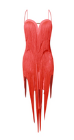 2022 Fringe Dress