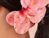 Orchid Clip