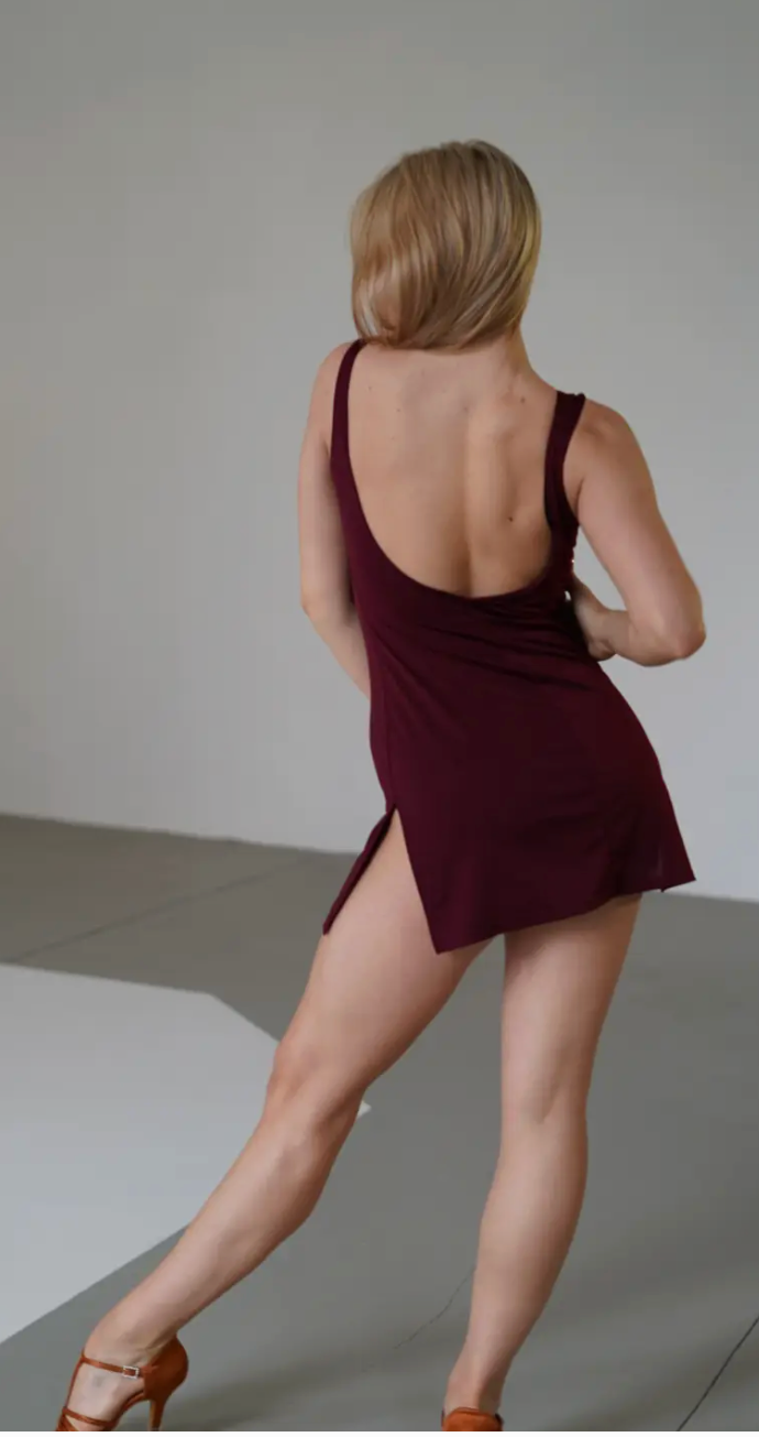 Dress Basic Wine Red